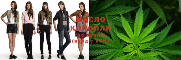 гашик Дмитриев