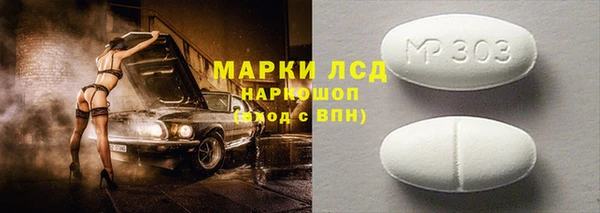 индика Дмитров