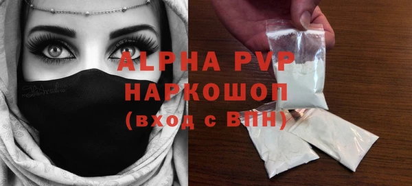 индика Дмитров