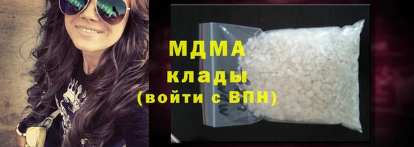 индика Дмитров