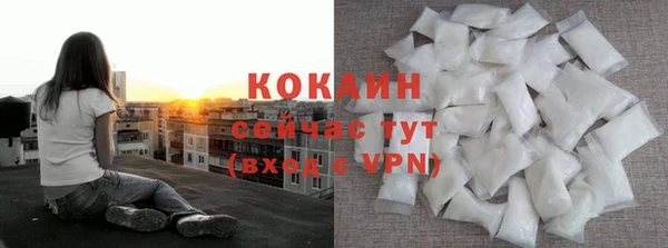 гашик Дмитриев