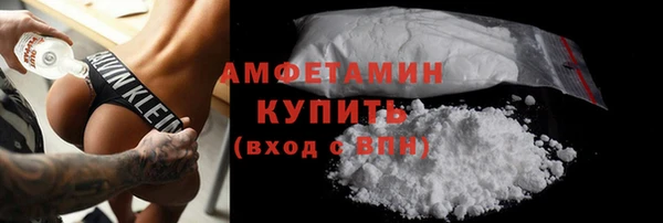 индика Дмитров