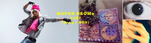 индика Дмитров