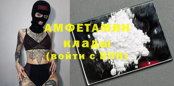 индика Дмитров