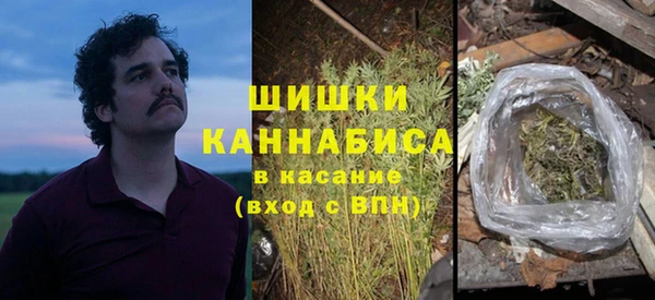 индика Дмитров