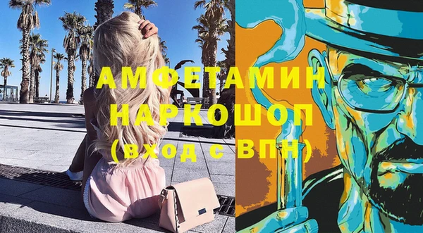 индика Дмитров