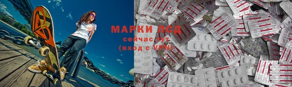 гашик Дмитриев