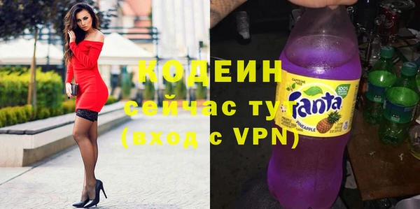 индика Дмитров