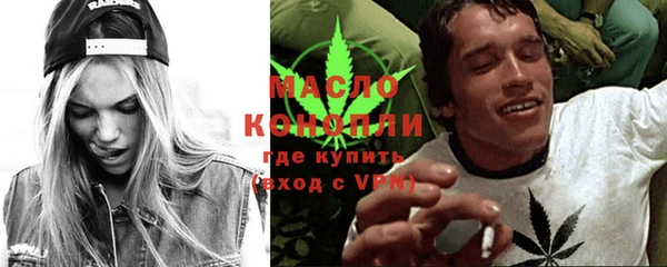 индика Дмитров
