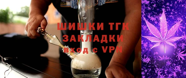индика Дмитров
