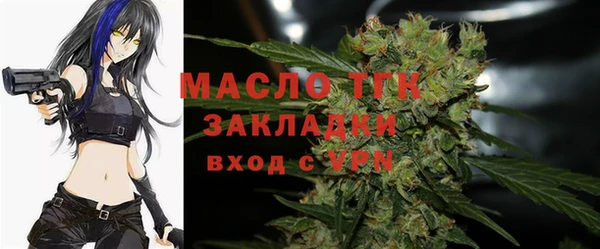 гашик Дмитриев