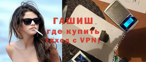 индика Дмитров